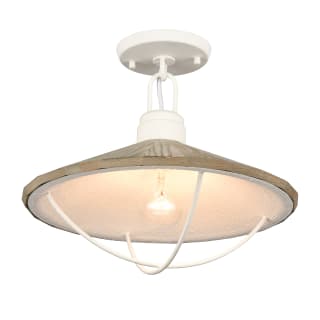 A thumbnail of the Elk Lighting 63155/1 White Coral