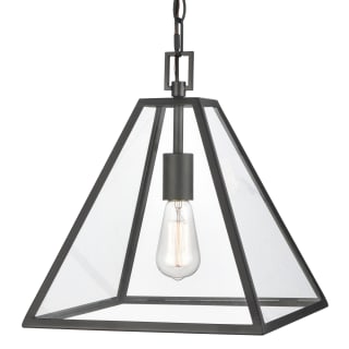 A thumbnail of the Elk Lighting 68204/1 Matte Black