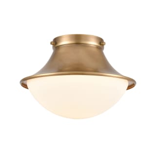 A thumbnail of the Elk Lighting 89125/1 Natural Brass