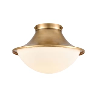A thumbnail of the Elk Lighting 89126/1 Natural Brass