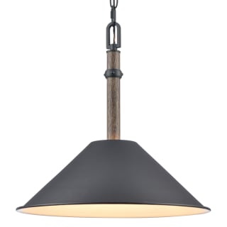 A thumbnail of the Elk Lighting 89705/1 Charcoal Black