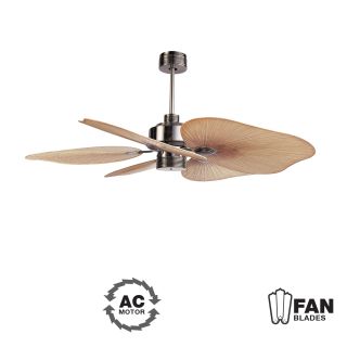 Ellington Fans Tah52cb5 Caribbean Brass Outdoor 52 5 Blade Indoor