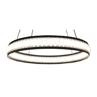 A thumbnail of the Eurofase Lighting 37091-019 Black