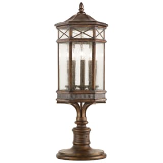 A thumbnail of the Fine Art Handcrafted Lighting 836980ST Antique Bronze