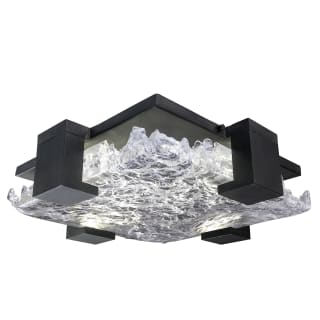 A thumbnail of the Fine Art Handcrafted Lighting 895440 Black / Clear