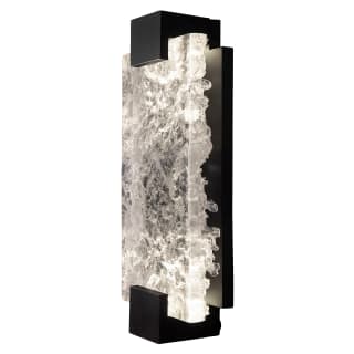 A thumbnail of the Fine Art Handcrafted Lighting 896650 Black / Clear