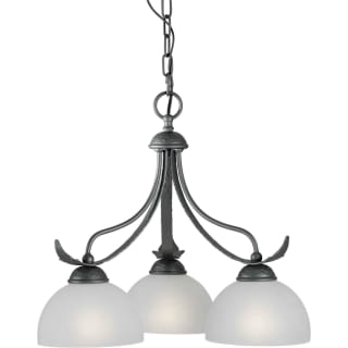 A thumbnail of the Forte Lighting 2344-03 Natural Iron