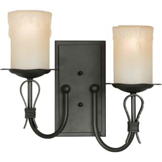 A thumbnail of the Forte Lighting 2396-02 Natural Iron