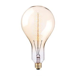 100 watt tungsten bulb hot sale