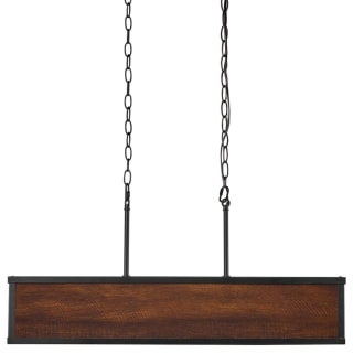 Globe Electric 60334