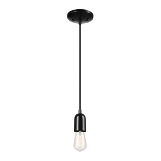 A thumbnail of the Globe Electric 60614 Glossy Black