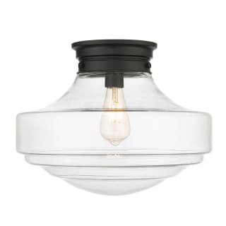 A thumbnail of the Golden Lighting 0508-LSF Matte Black / Clear