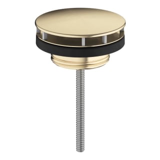 A thumbnail of the Hansgrohe 50001 Brushed Gold Optic