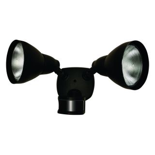 Zenith outdoor outlet motion light