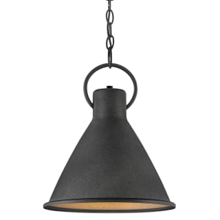 A thumbnail of the Hinkley Lighting 3557 Aged Zinc / Distressed Black