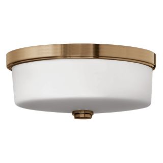 A thumbnail of the Hinkley Lighting H5421 Brushed Bronze