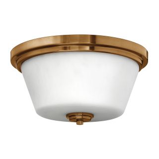 A thumbnail of the Hinkley Lighting H5551 Brushed Bronze