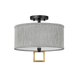 A thumbnail of the Hinkley Lighting 41805 Black