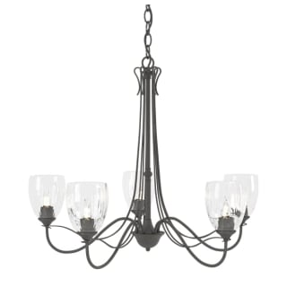 A thumbnail of the Hubbardton Forge 103063 Natural Iron / Water