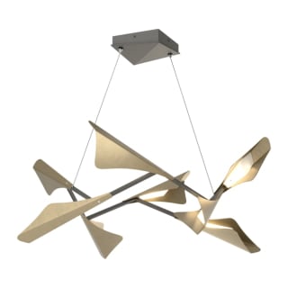 A thumbnail of the Hubbardton Forge 135007-STANDARD Natural Iron / Soft Gold