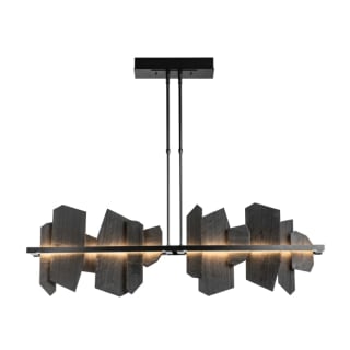 A thumbnail of the Hubbardton Forge 139666-STANDARD Black