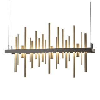 A thumbnail of the Hubbardton Forge 139725-STANDARD Dark Smoke / Soft Gold