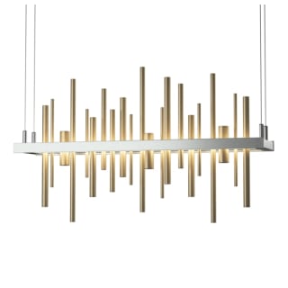 A thumbnail of the Hubbardton Forge 139725-STANDARD Vintage Platinum / Soft Gold