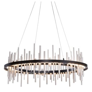 A thumbnail of the Hubbardton Forge 139910-STANDARD Black / Sterling