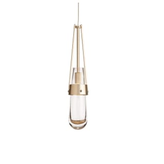 A thumbnail of the Hubbardton Forge 161040-STANDARD Soft Gold / Clear