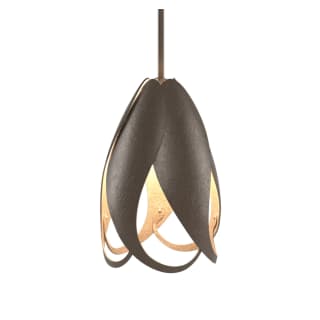 A thumbnail of the Hubbardton Forge 188770 Bronze