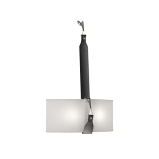 A thumbnail of the Hubbardton Forge 204070 Black / Polished Nickel / Black / Natural Anna