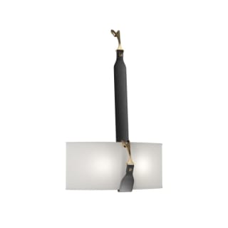 A thumbnail of the Hubbardton Forge 204070 Black / Antique Brass / Black / Natural Anna