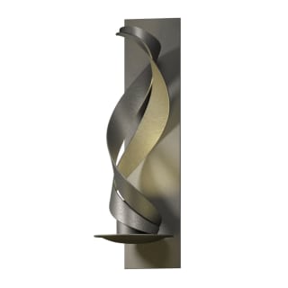 A thumbnail of the Hubbardton Forge 206120 Natural Iron