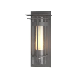 A thumbnail of the Hubbardton Forge 305996 Coastal Burnished Steel / Seedy