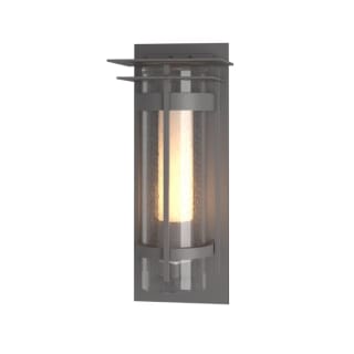 A thumbnail of the Hubbardton Forge 305997 Coastal Burnished Steel / Seedy