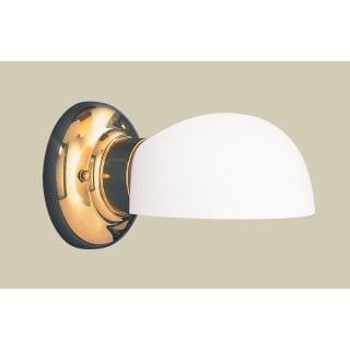 A thumbnail of the Hudson Valley Lighting 101-811 Polished Brass