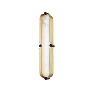 A thumbnail of the Hudson Valley Lighting 2916 Aged Brass / Black