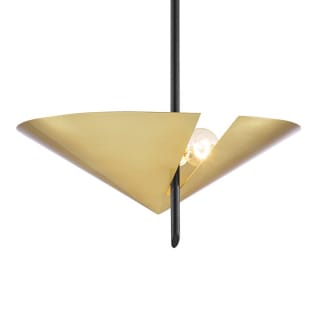 A thumbnail of the Hudson Valley Lighting 9711 Aged Brass / Black