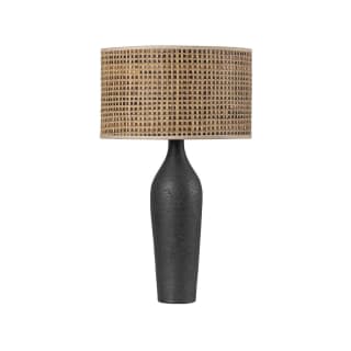 A thumbnail of the Hudson Valley Lighting L1029 Aged Brass / Ceramic Black Ash