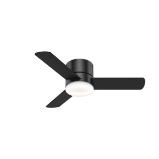 Minimus 44 Hugger Ceiling Fan, Hunter White Ceiling Fan With Light And Remote Control