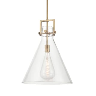 Innovations Lighting 411 1S BB 16CL Brushed Brass Clear Newton