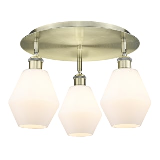 A thumbnail of the Innovations Lighting 516-3C-10-18 Cindyrella Flush Antique Brass / Cased Matte White