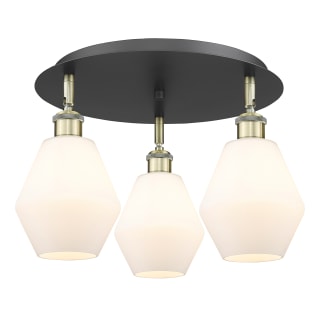 A thumbnail of the Innovations Lighting 516-3C-10-18 Cindyrella Flush Black Antique Brass / Cased Matte White