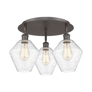A thumbnail of the Innovations Lighting 516-3C-11-20 Cindyrella Flush Oil Rubbed Bronze / Seedy