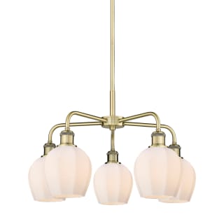 A thumbnail of the Innovations Lighting 516-5CR-15-24 Norfolk Chandelier Antique Brass / Matte White