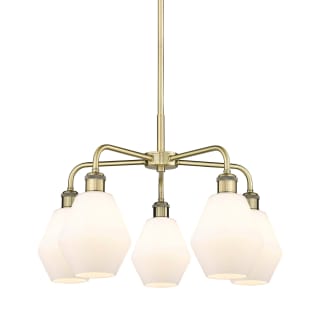 A thumbnail of the Innovations Lighting 516-5CR-16-24 Cindyrella Chandelier Antique Brass / Cased Matte White