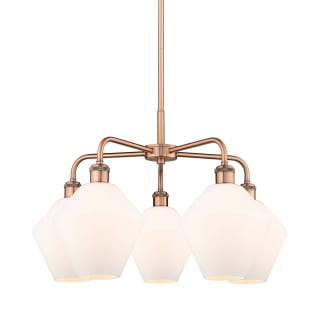 A thumbnail of the Innovations Lighting 516-5CR-17-26 Cindyrella Chandelier Antique Copper / Cased Matte White