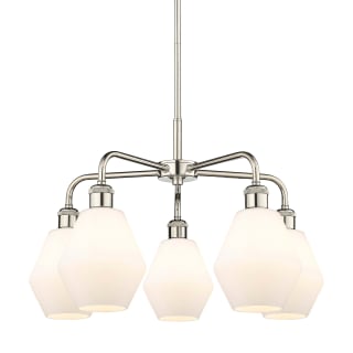 A thumbnail of the Innovations Lighting 516-5CR-16-24 Cindyrella Chandelier Polished Nickel / Cased Matte White