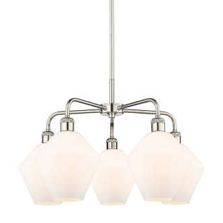A thumbnail of the Innovations Lighting 516-5CR-17-26 Cindyrella Chandelier Polished Nickel / Cased Matte White