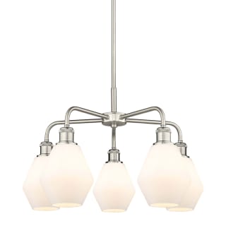 A thumbnail of the Innovations Lighting 516-5CR-16-24 Cindyrella Chandelier Satin Nickel / Cased Matte White
